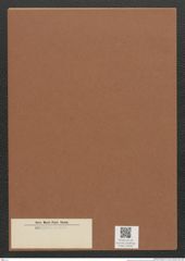 Diatomeae indet. Zeichnungen Sammlung Grunow Mappe 03459 (Herbarium_W_Grunow_drawings_Folder_03459)